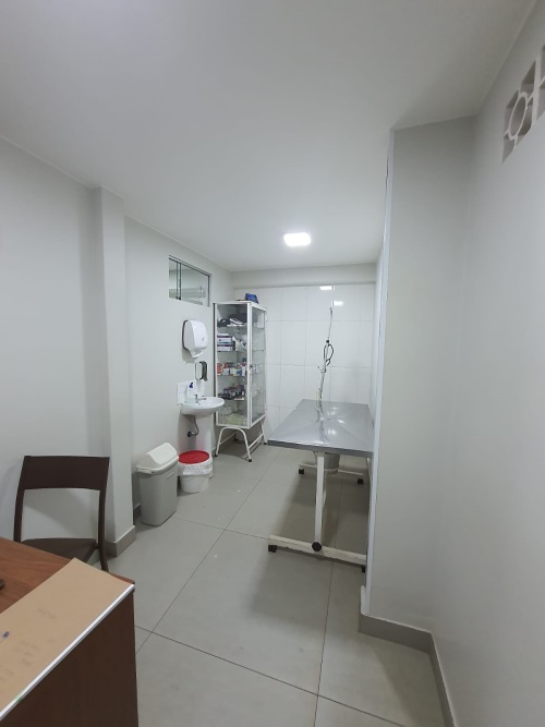 Galeria